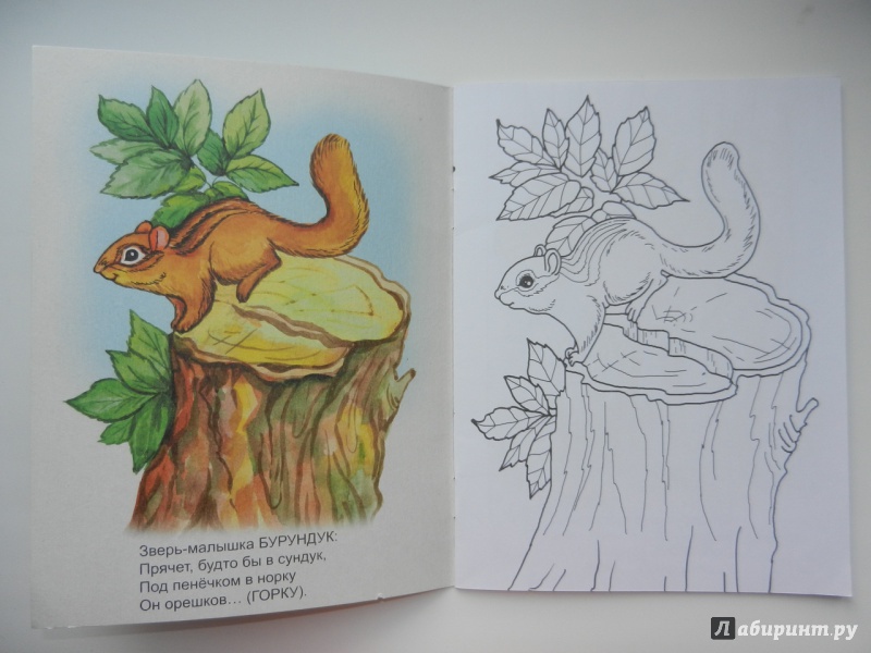 Иллюстрация 16 из 34 для У зверей лесной обед - Юрий Чичев | Лабиринт - книги. Источник: Фея-крестная
