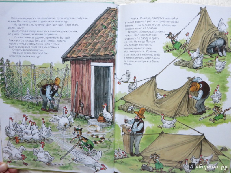 Иллюстрация 18 из 44 для Петсон идёт в поход - Свен Нурдквист | Лабиринт - книги. Источник: Юта