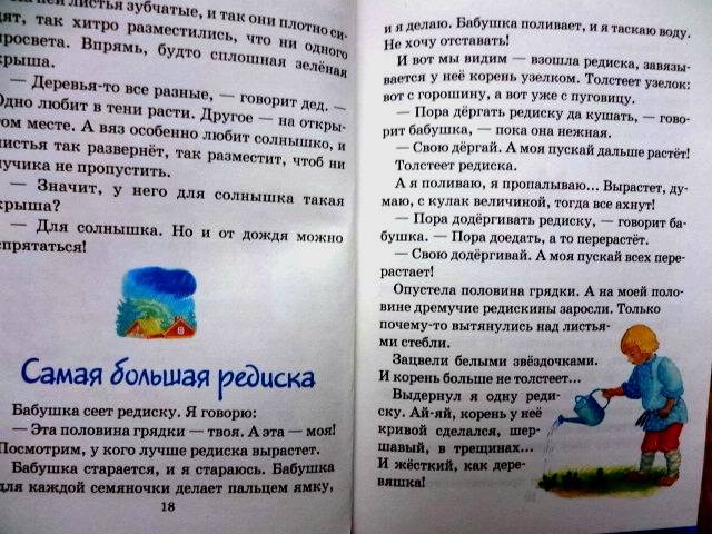 Иллюстрация 5 из 14 для Рассказы и сказки о природе - Эдуард Шим | Лабиринт - книги. Источник: kolobus