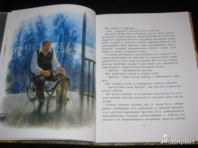Иллюстрация 18 из 46 для Арктур - гончий пёс - Юрий Казаков | Лабиринт - книги. Источник: Nemertona