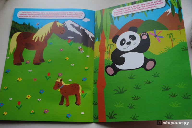 Иллюстрация 9 из 9 для Животные и их детеныши | Лабиринт - книги. Источник: ТаксаГав