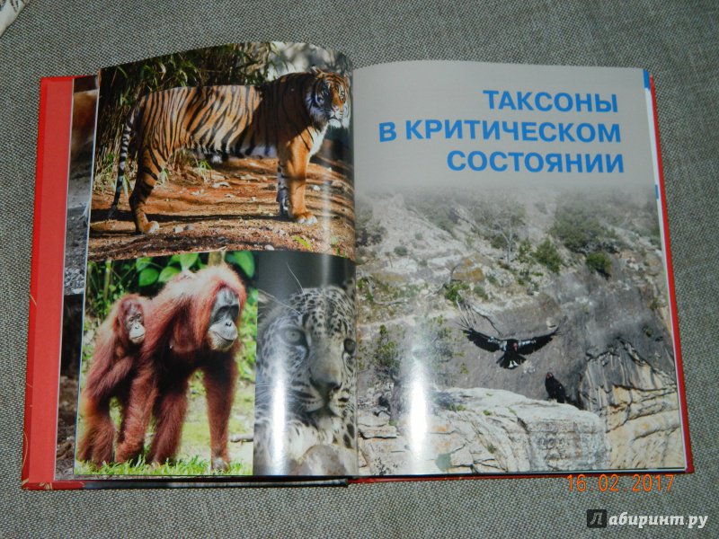 Иллюстрация 29 из 64 для Красная книга Земли - Скалдина, Слиж | Лабиринт - книги. Источник: EkaterinaF