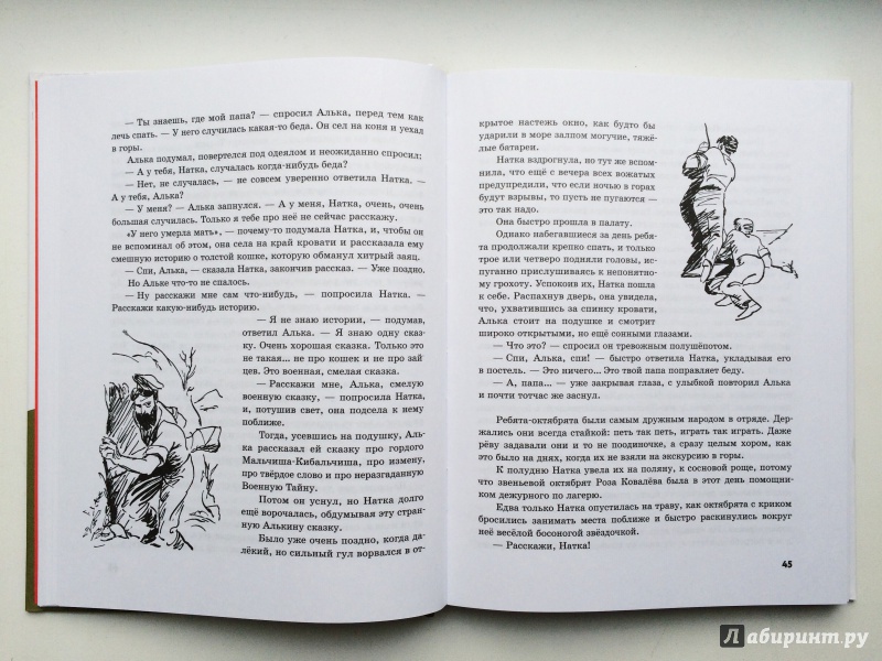 Иллюстрация 19 из 36 для Военная тайна - Аркадий Гайдар | Лабиринт - книги. Источник: Ищенко  Татьяна