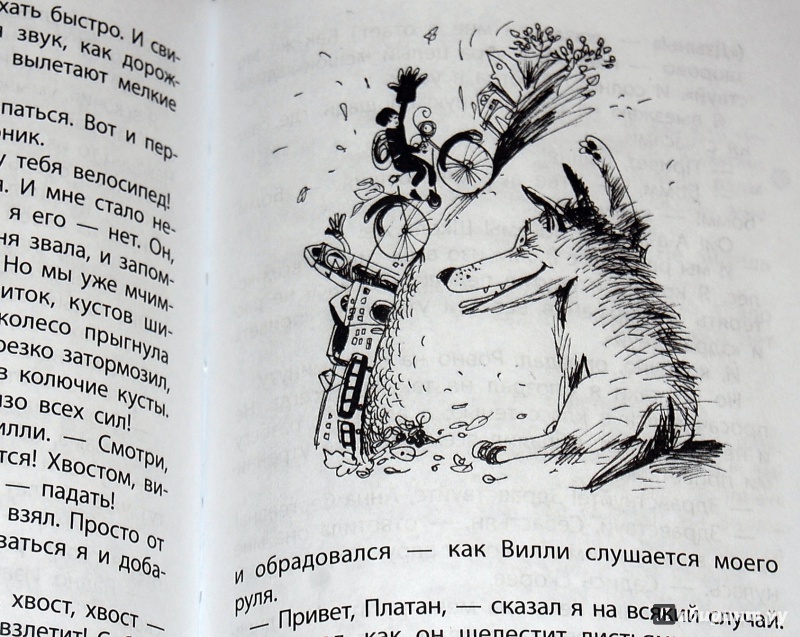 Иллюстрация 47 из 54 для Вилли - Нина Дашевская | Лабиринт - книги. Источник: Дядя Женя
