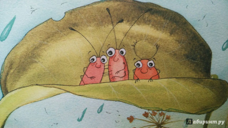 Иллюстрация 24 из 52 для Лягушки - Сергей Козлов | Лабиринт - книги. Источник: olala
