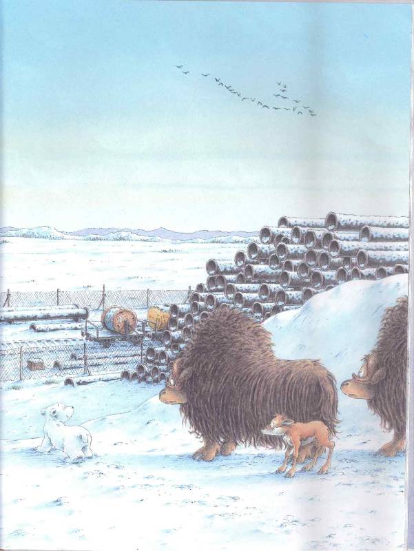 Иллюстрация 7 из 40 для Белый медвежонок Барни и олененок-потеряшка - Беер Де | Лабиринт - книги. Источник: Verba888