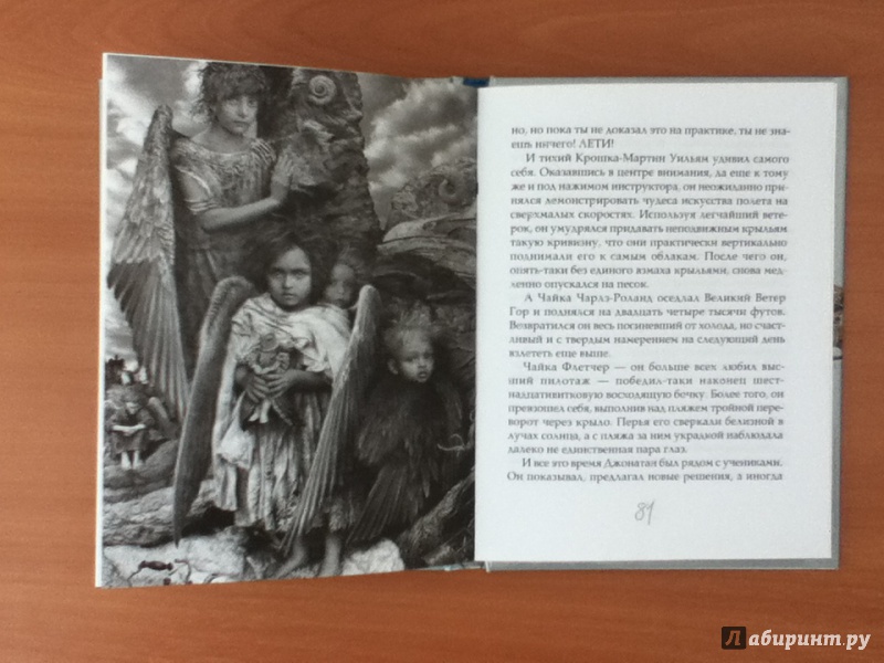 Иллюстрация 14 из 28 для Чайка Джонатан Ливингстон (новая авторская версия) - Ричард Бах | Лабиринт - книги. Источник: ЮльПална