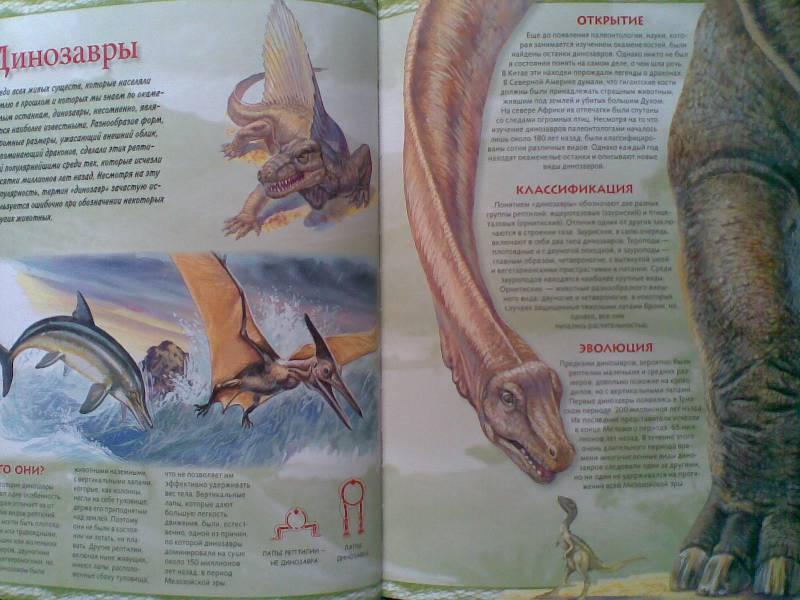 Иллюстрация 18 из 23 для Тираннозавр & Ко - М. Банфи | Лабиринт - книги. Источник: Мельникова  Светлана Сергеевна