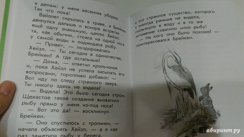 Иллюстрация 33 из 34 для Дикий зверь - Джорджи Адамс | Лабиринт - книги. Источник: Савчук Ирина