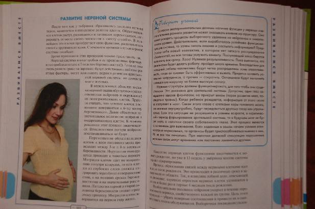 Иллюстрация 8 из 13 для Я - мама. Здоровье и развитие ребенка от 0 до 1 года (цв) - Лилия Иванова | Лабиринт - книги. Источник: Busyay