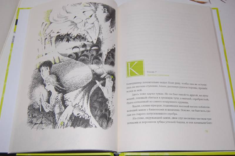 Иллюстрация 42 из 50 для Тайна железного дерева - Софья Прокофьева | Лабиринт - книги. Источник: ИринаИ