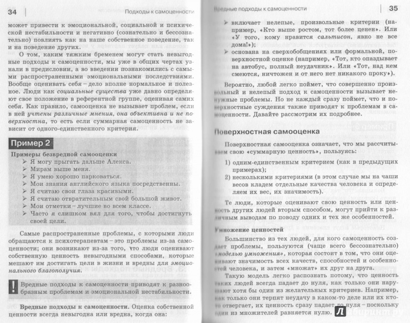 Иллюстрация 28 из 41 для Самоценность. Как заставить ее работать на себя - Гарлих Штавеманн | Лабиринт - книги. Источник: Дмитриева  Татьяна Юрьевна