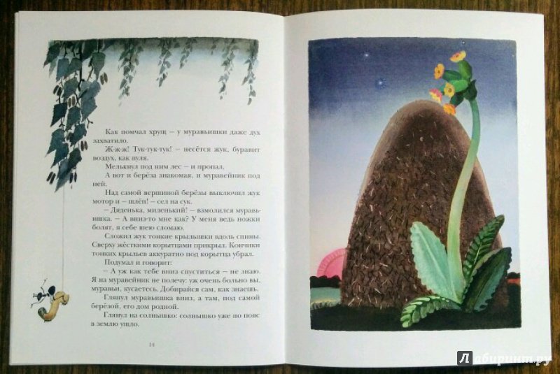 Иллюстрация 57 из 59 для Как муравьишка домой спешил - Виталий Бианки | Лабиринт - книги. Источник: Natalie Leigh