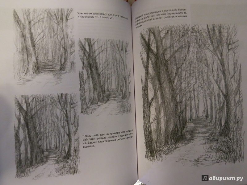 Иллюстрация 48 из 49 для Пошаговые уроки рисования - Виктория Мазовецкая | Лабиринт - книги. Источник: Селина Стригеле