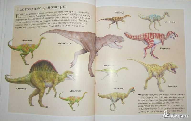 Иллюстрация 27 из 47 для В поисках динозавра - Николас Харрис | Лабиринт - книги. Источник: ver-ira