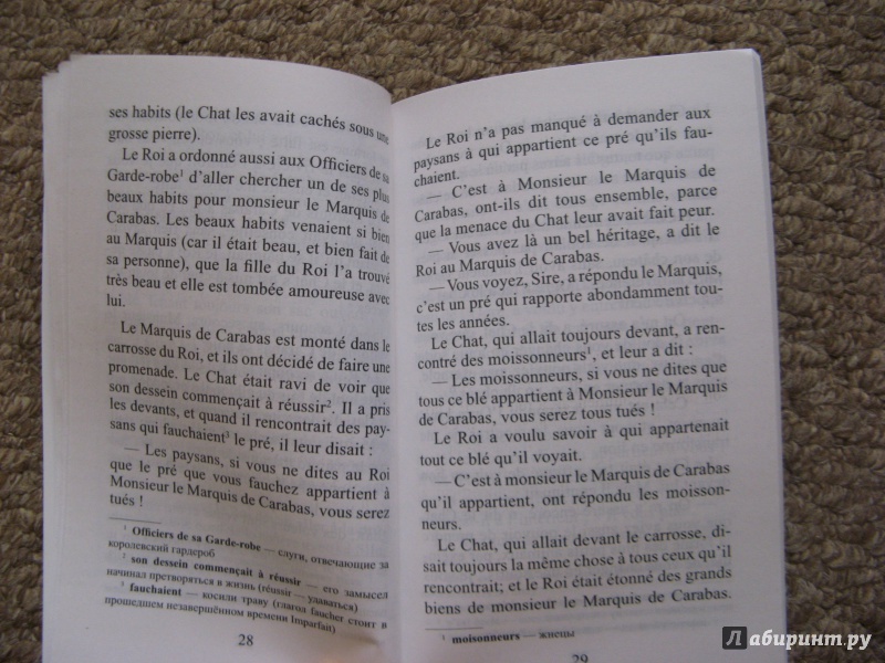 Иллюстрация 32 из 44 для Французские сказки | Лабиринт - книги. Источник: Ольга
