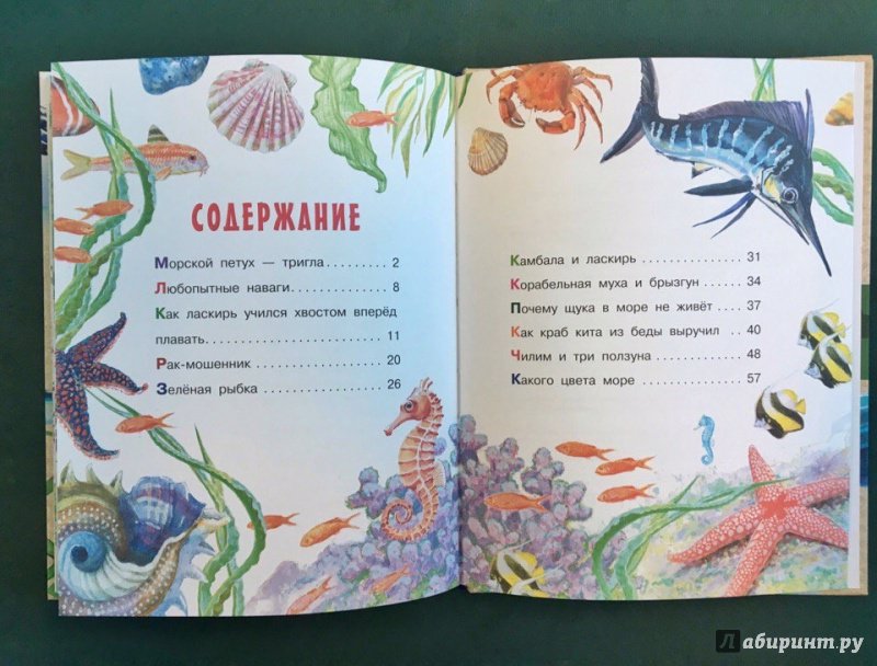 Иллюстрация 3 из 53 для Морские сказки - Святослав Сахарнов | Лабиринт - книги. Источник: Паллада  Афина