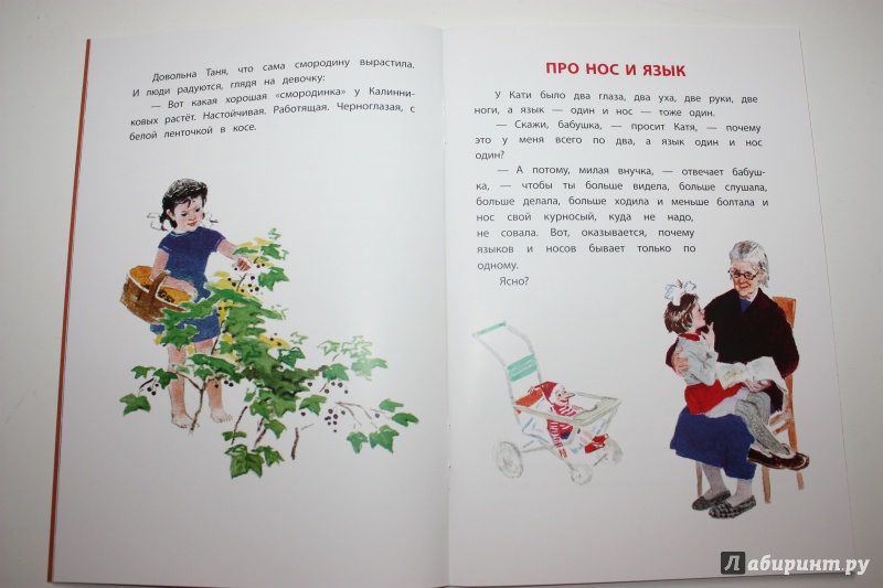Иллюстрация 19 из 46 для Смородинка - Евгений Пермяк | Лабиринт - книги. Источник: Bradbury