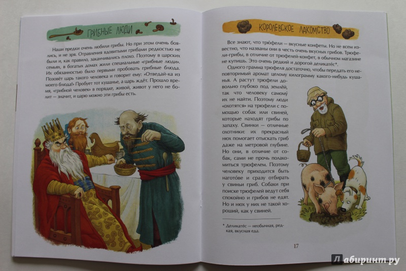 Иллюстрация 48 из 68 для Грибное царство - Алена Васнецова | Лабиринт - книги. Источник: По страницам детских книг