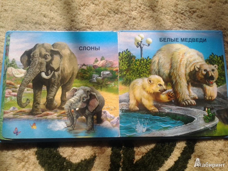 Иллюстрация 4 из 12 для Животные в зоопарке | Лабиринт - книги. Источник: Низамутдинова  Олия