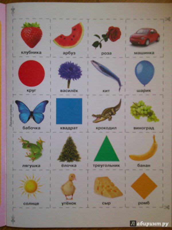 Иллюстрация 4 из 35 для Изучаем цвета и формы | Лабиринт - игрушки. Источник: Книголюб!