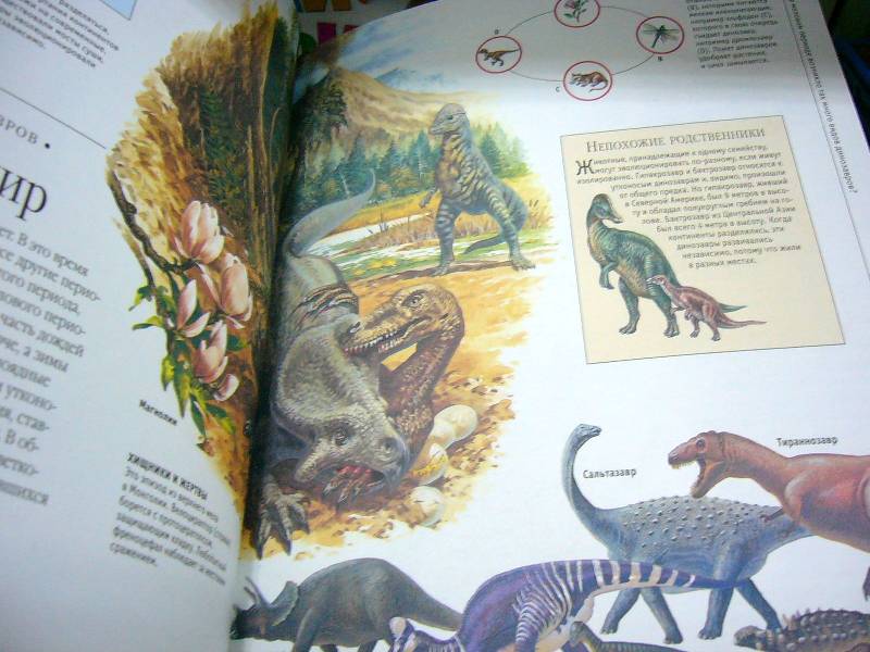 Иллюстрация 2 из 15 для Большая детская энциклопедия животных | Лабиринт - книги. Источник: Nika