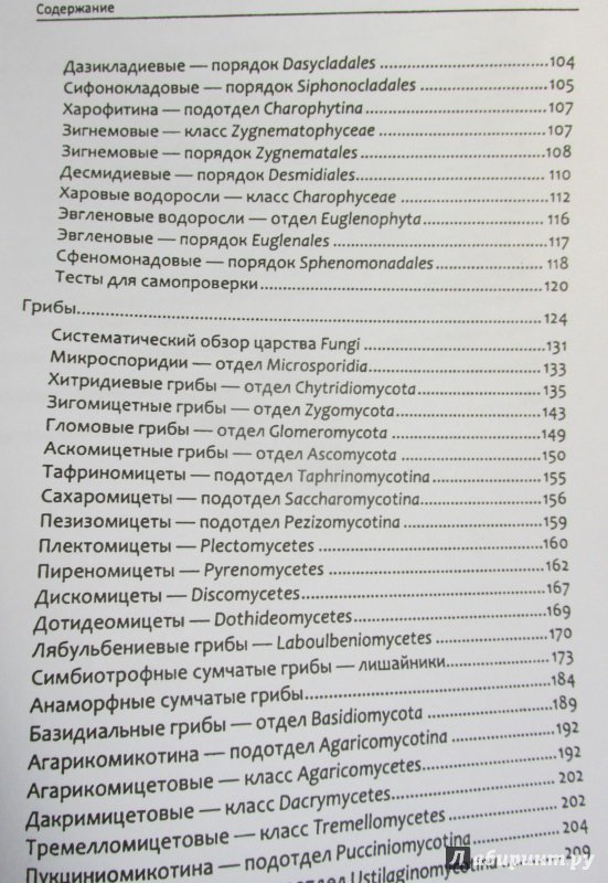 Иллюстрация 45 из 47 для Биологическое разнообразие: водоросли и грибы - Мухин, Третьякова | Лабиринт - книги. Источник: Алекс