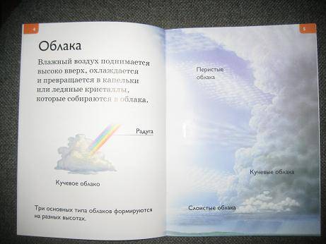 Иллюстрация 2 из 12 для Погода - Дениз Райан | Лабиринт - книги. Источник: kitteyn