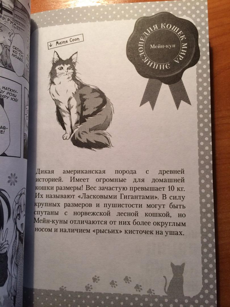 Иллюстрация 17 из 37 для Нахальный принц и кошка-несмеяна. Том 4 - Окомэкэн, Со, Кантоку | Лабиринт - книги. Источник: | favouritevampire |