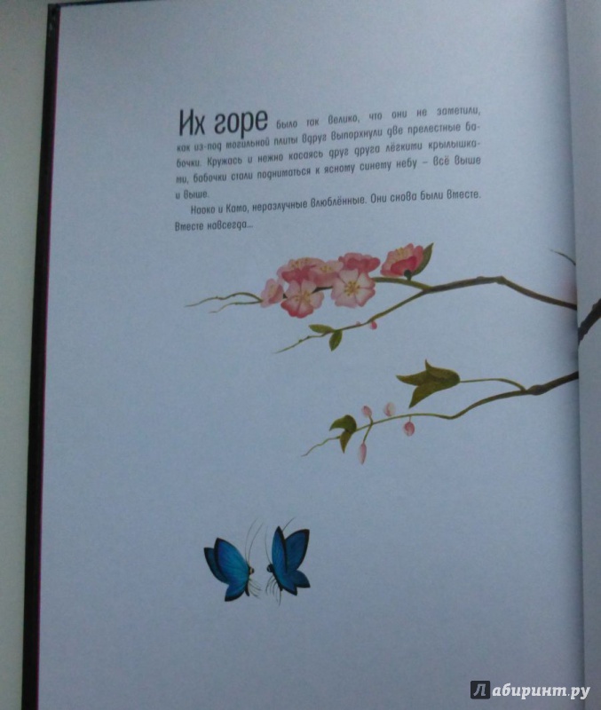 Иллюстрация 8 из 29 для Волшебные бабочки. Старинная сказка - Бенжамен Лакомб | Лабиринт - книги. Источник: Marsupialia