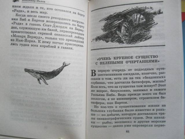 Иллюстрация 10 из 14 для Тайны морских глубин - Владимир Малов | Лабиринт - книги. Источник: NINANI