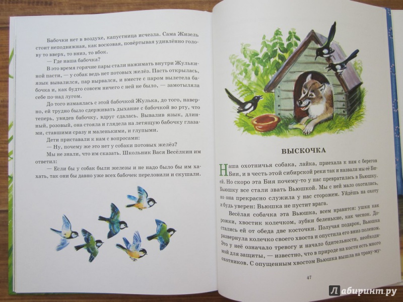 Иллюстрация 40 из 78 для Охота за бабочкой - Михаил Пришвин | Лабиринт - книги. Источник: ЮлияО