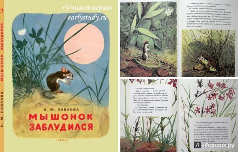Иллюстрация 32 из 32 для Мышонок заблудился - Нина Павлова | Лабиринт - книги. Источник: Mariya_Kostyuchenko