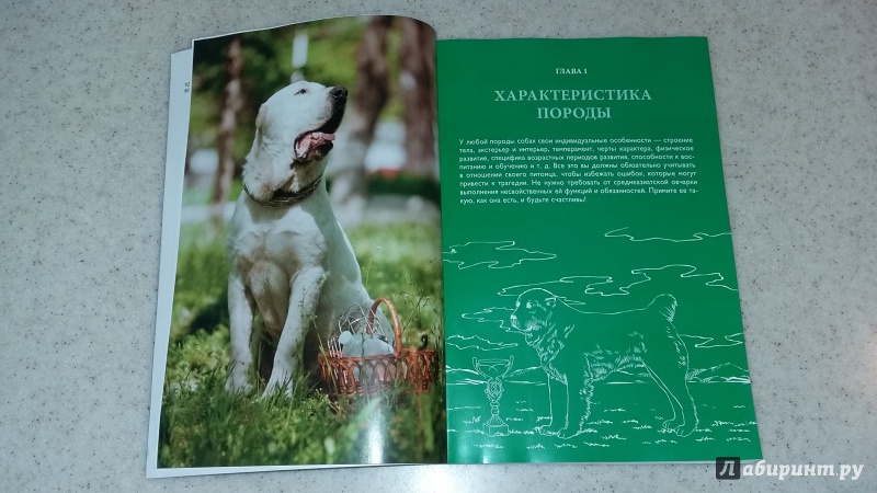 Иллюстрация 6 из 20 для Алабай - среднеазиатская овчарка - Андрей Шкляев | Лабиринт - книги. Источник: Rothschild baby
