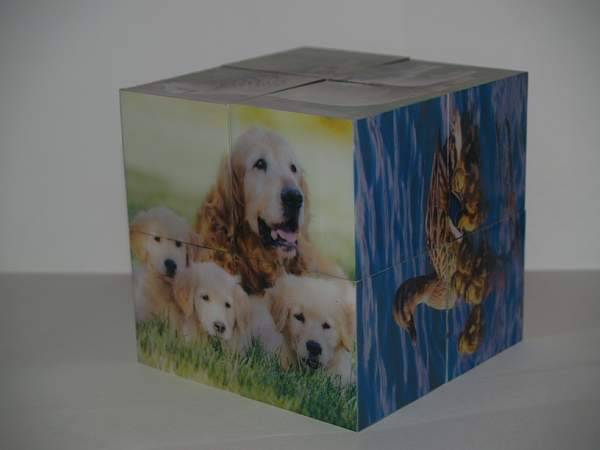 Иллюстрация 8 из 14 для Магнитные кубики-пазлы "Домашние животные" (8 кубиков, 12 пазлов) (14032) | Лабиринт - игрушки. Источник: Cовушка
