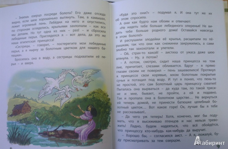 Иллюстрация 5 из 13 для Болотные принцессы - Андерсен, Санд | Лабиринт - книги. Источник: Katty
