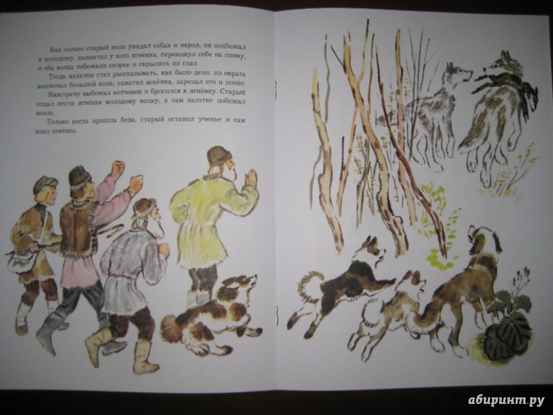Иллюстрация 22 из 48 для О животных и птицах - Лев Толстой | Лабиринт - книги. Источник: Никoль