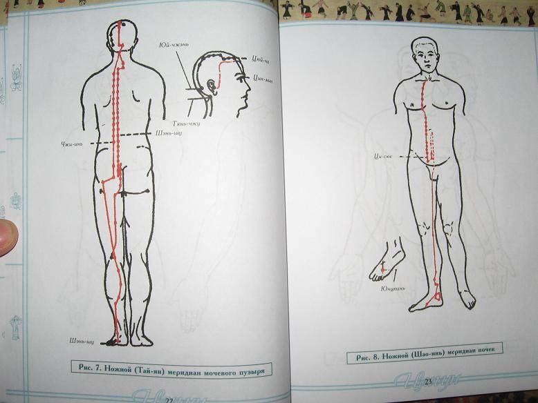 Иллюстрация 7 из 21 для Лечебная гимнастика цигун для глаз (+DVD) | Лабиринт - книги. Источник: Volk_