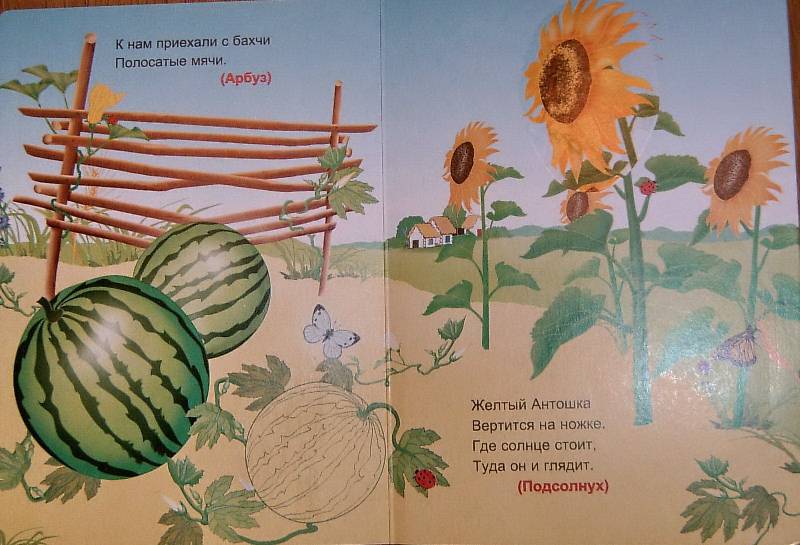 Иллюстрация 4 из 4 для Веселый огород (10 многоразовых наклеек) | Лабиринт - книги. Источник: Igra