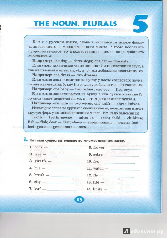 Иллюстрация 14 из 28 для Cool Grammar: английская грамматика для 1-4 классов. Уровень 1 - Елена Наумова | Лабиринт - книги. Источник: andrey6439