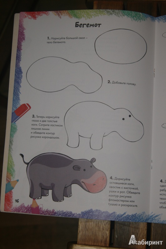 Иллюстрация 6 из 39 для Рисуем диких животных | Лабиринт - книги. Источник: Кабанова  Ксения Викторовна