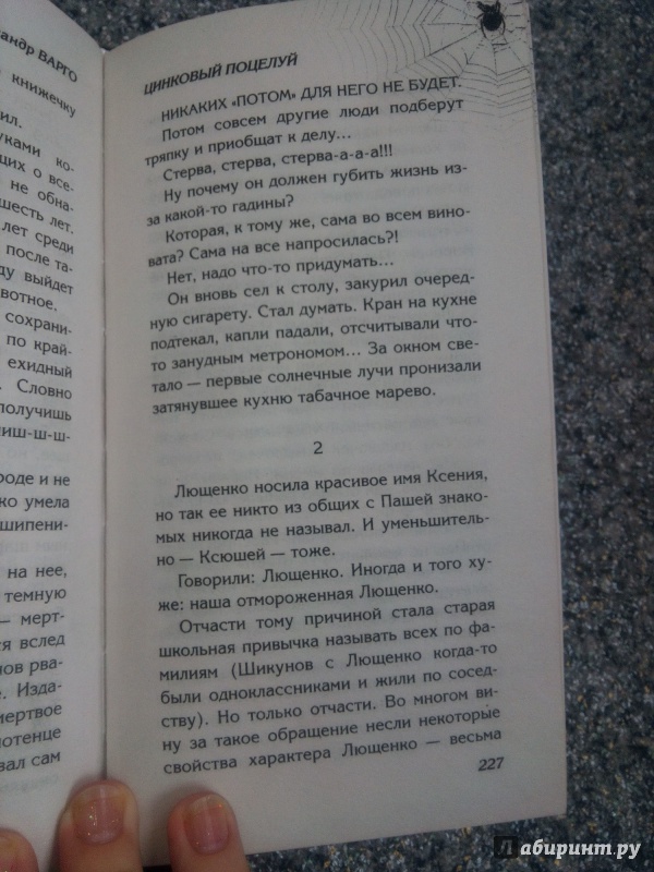 Иллюстрация 7 из 8 для Цинковый поцелуй - Александр Варго | Лабиринт - книги. Источник: Юлия