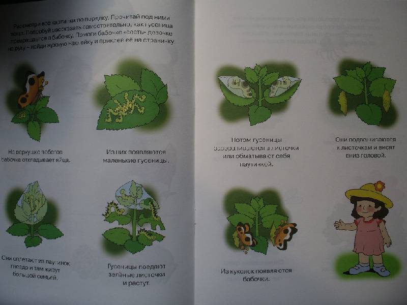 Иллюстрация 18 из 30 для Знакомимся с природой. 4-5 лет. ФГОС | Лабиринт - книги. Источник: Tiger.