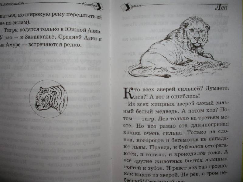 Иллюстрация 15 из 24 для В мире животных - Игорь Акимушкин | Лабиринт - книги. Источник: Tiger.