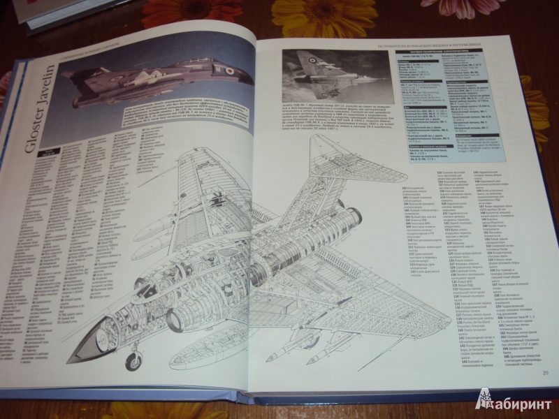 Иллюстрация 11 из 18 для Современные военные самолеты. С 1945 г. по настоящее время. Уникальные рисунки и чертежи | Лабиринт - книги. Источник: л.и.