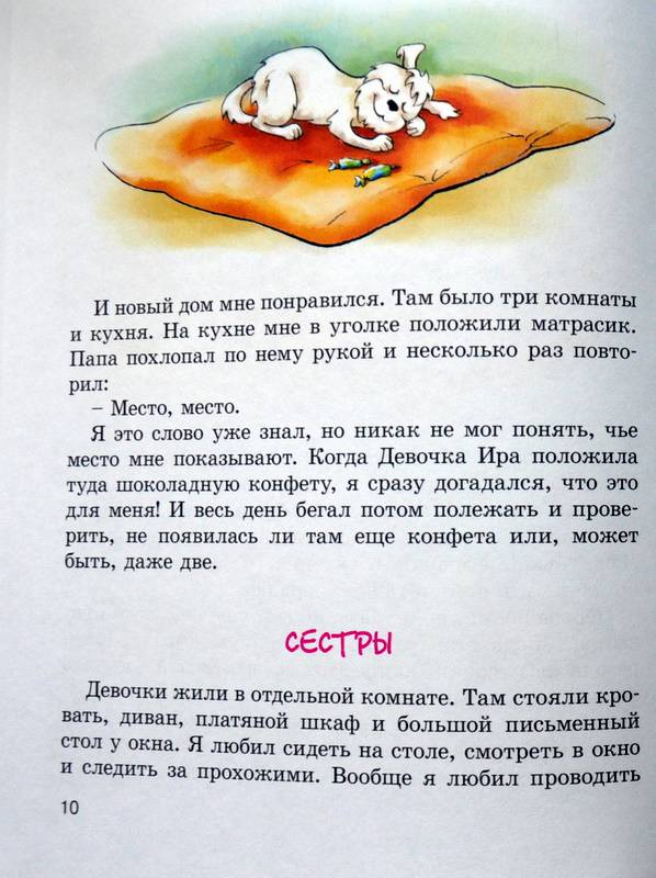 Иллюстрация 27 из 30 для Пух, летающая собака - Людмила Одинцова | Лабиринт - книги. Источник: Ассоль