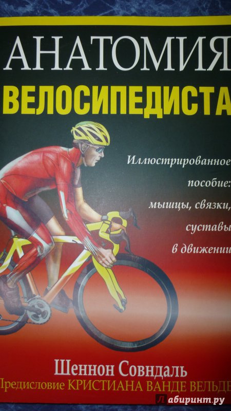 Иллюстрация 2 из 19 для Анатомия велосипедиста - Шеннон Совндаль | Лабиринт - книги. Источник: Троицкий  Дмитрий