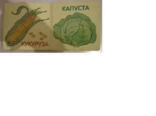 Иллюстрация 2 из 2 для Овощи | Лабиринт - книги. Источник: Исаенко Мария Владимировна