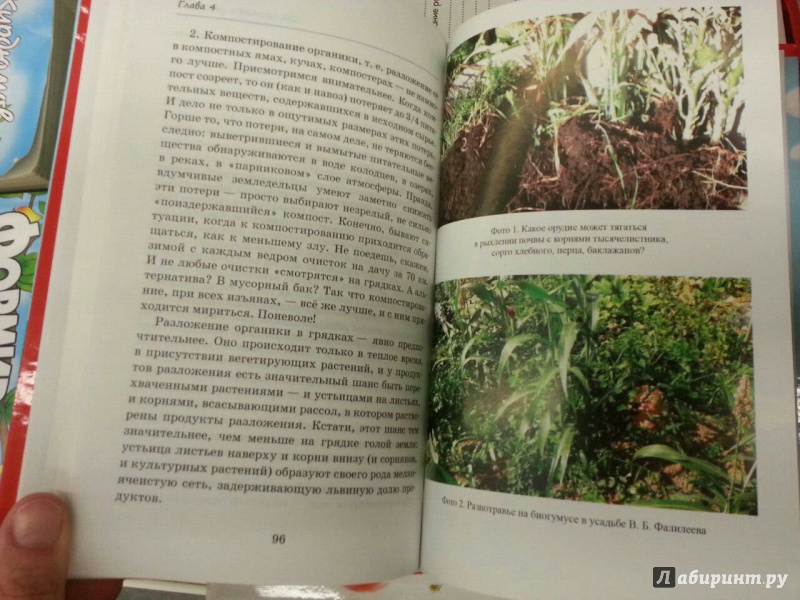 Иллюстрация 5 из 7 для Огород для умных, или Как не навредить заботой - Борис Бублик | Лабиринт - книги. Источник: Пилер  Евгения