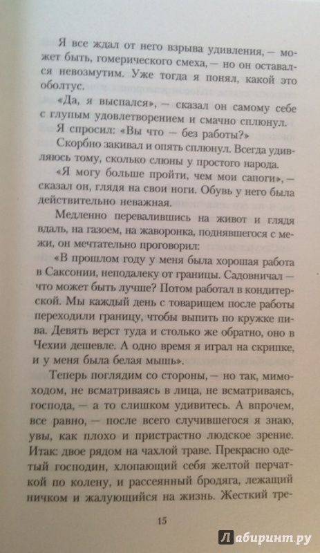 Иллюстрация 17 из 26 для Отчаяние: Роман - Владимир Набоков | Лабиринт - книги. Источник: Белова  Елена